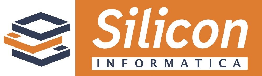 Silicon Informatica